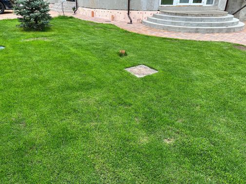 Люк под брусчатку Брус Ли Стальной 800*1200 Люк под брусчатку Брус Ли Стальной 800*1200